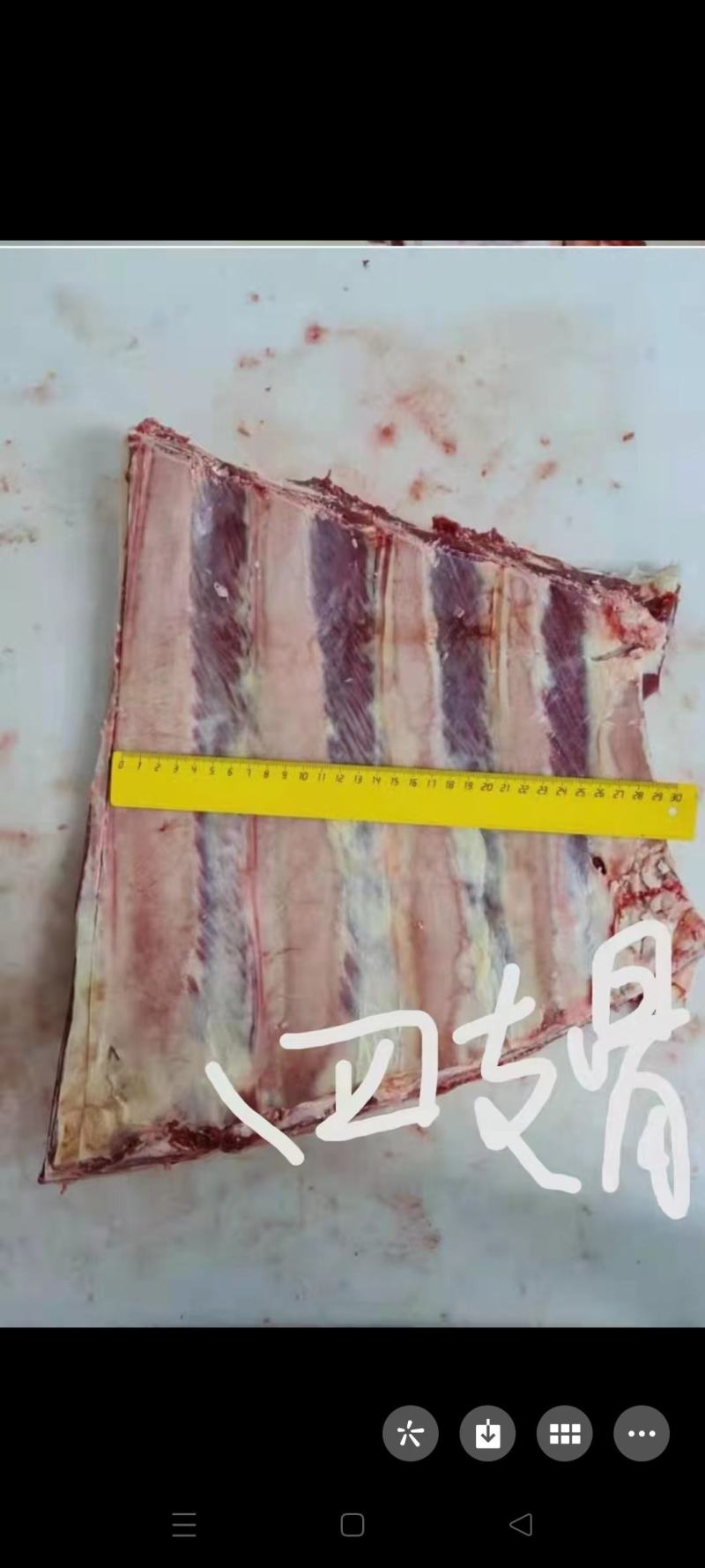 白俄骨头，随时提货，正关，满肉21号刚到的