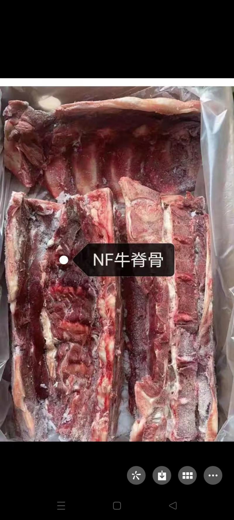 白俄骨头，随时提货，正关，满肉21号刚到的