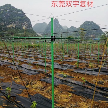 树木支撑大棚立柱葡萄冬爪丝瓜架立杆玻璃纤维管农业包毡玻管