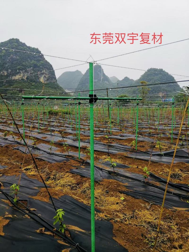 树木支撑大棚立柱葡萄冬爪丝瓜架立杆玻璃纤维管农业包毡玻管
