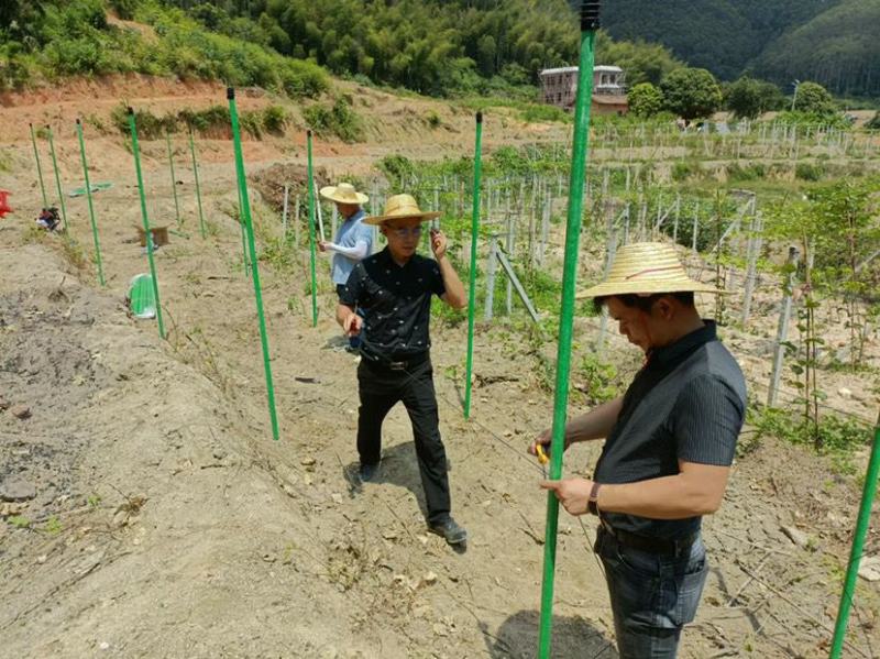 树木支撑大棚立柱葡萄冬爪丝瓜架立杆玻璃纤维管农业包毡玻管
