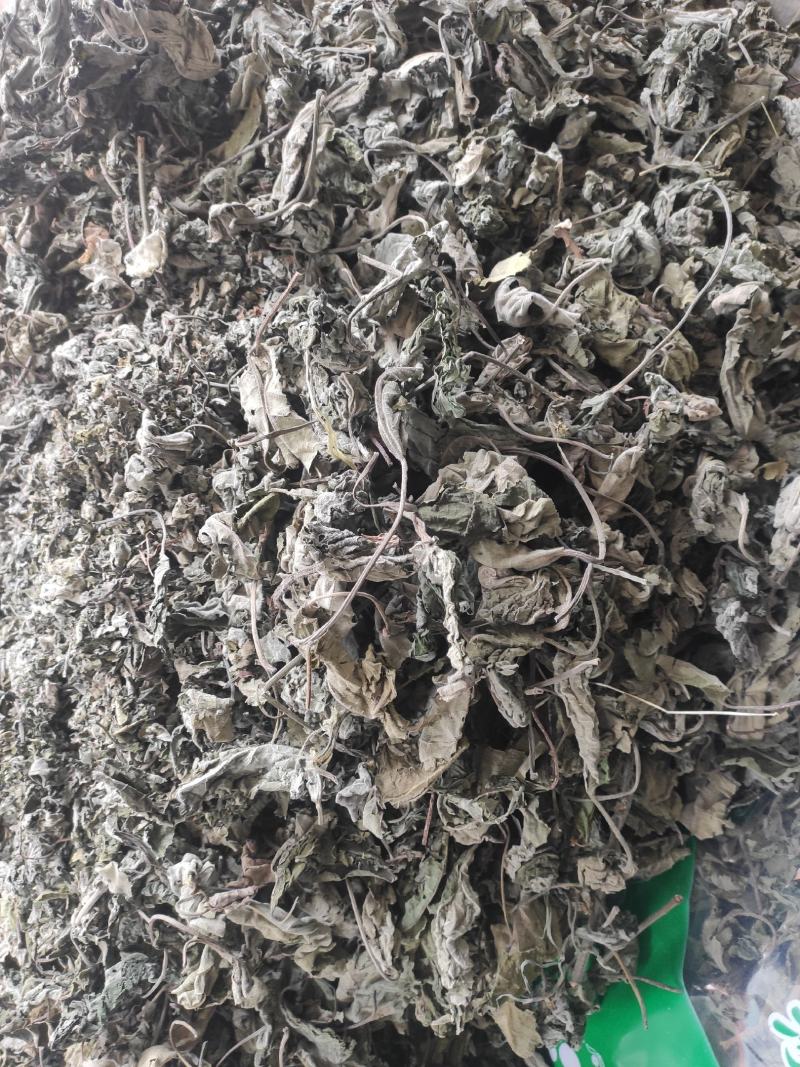褚桃叶干货褚桃叶构树叶干净无杂质常年经营各种中药材