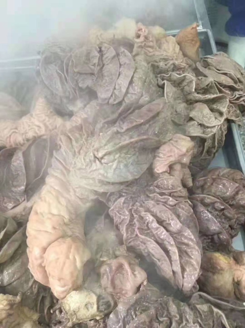 牛肠大肠小肠都有货，量大从优，各地发货欢迎采购