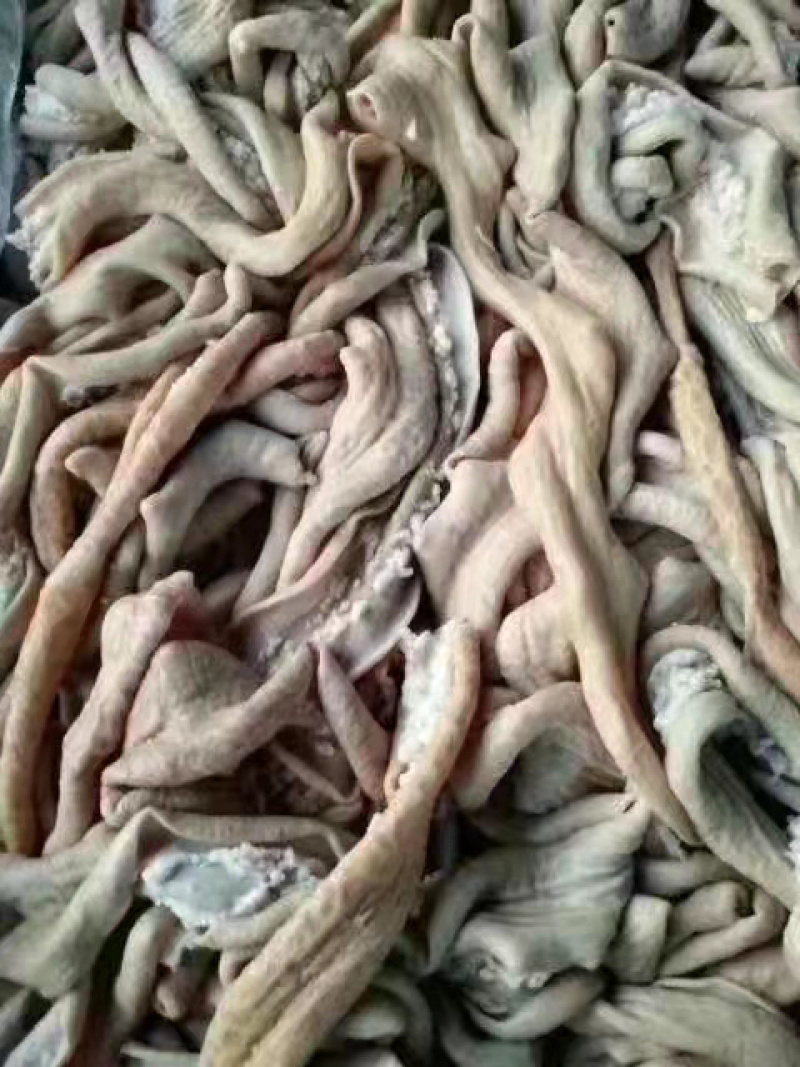牛肠大肠小肠都有货，量大从优，各地发货欢迎采购
