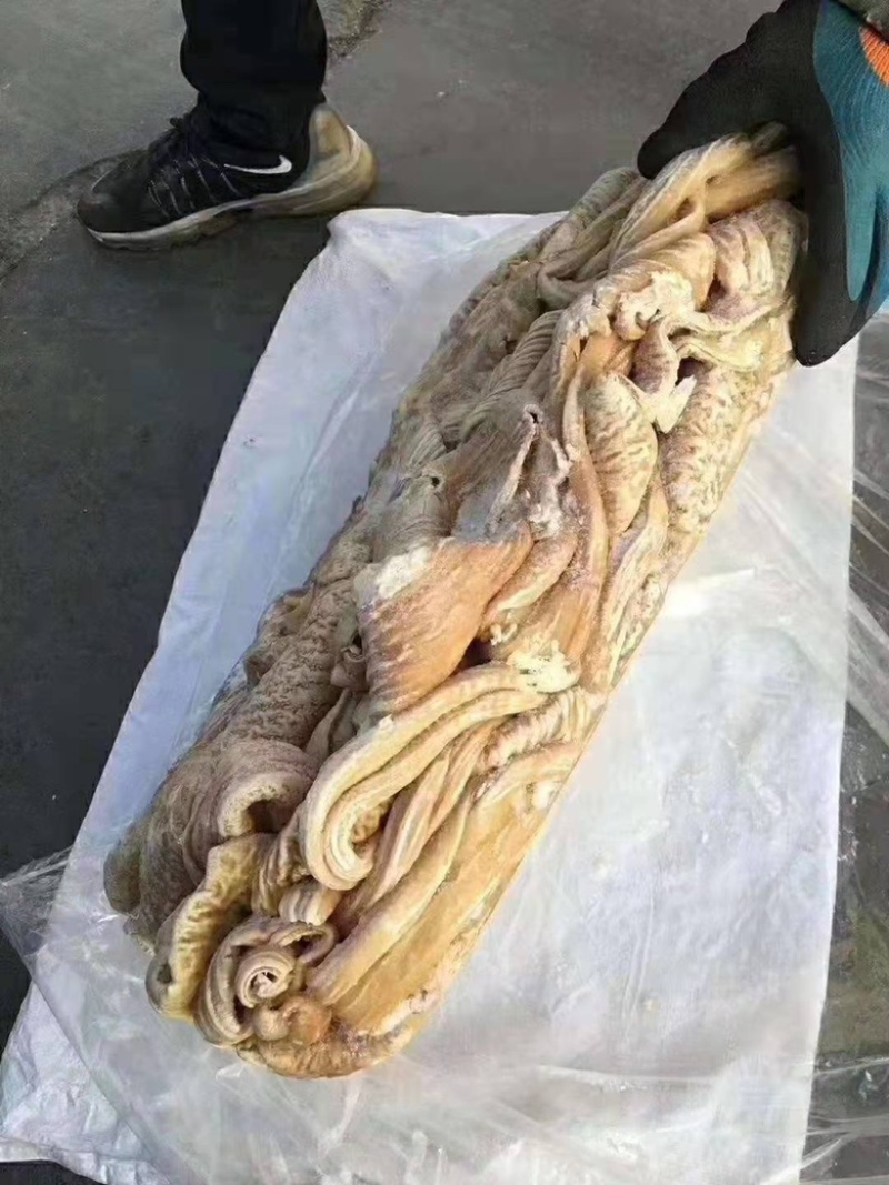 牛肠大肠小肠都有货，量大从优，各地发货欢迎采购