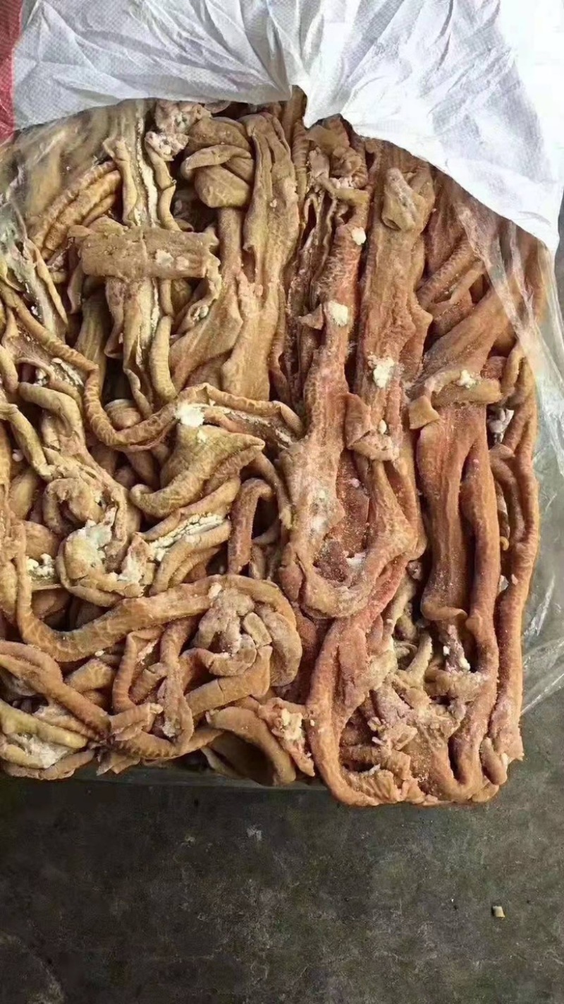 牛肠大肠小肠都有货，量大从优，各地发货欢迎采购