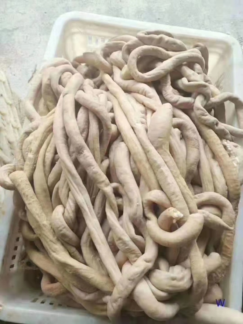 牛肠大肠小肠都有货，量大从优，各地发货欢迎采购