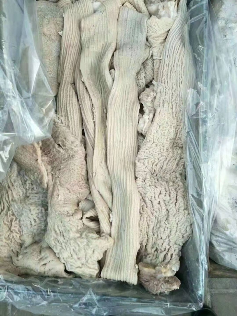 牛肠大肠小肠都有货，量大从优，各地发货欢迎采购