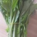 白菜芯，菜苔，菜心产地**农副产品