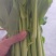 白菜芯，菜苔，菜心产地**农副产品