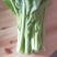 白菜芯，菜苔，菜心产地**农副产品