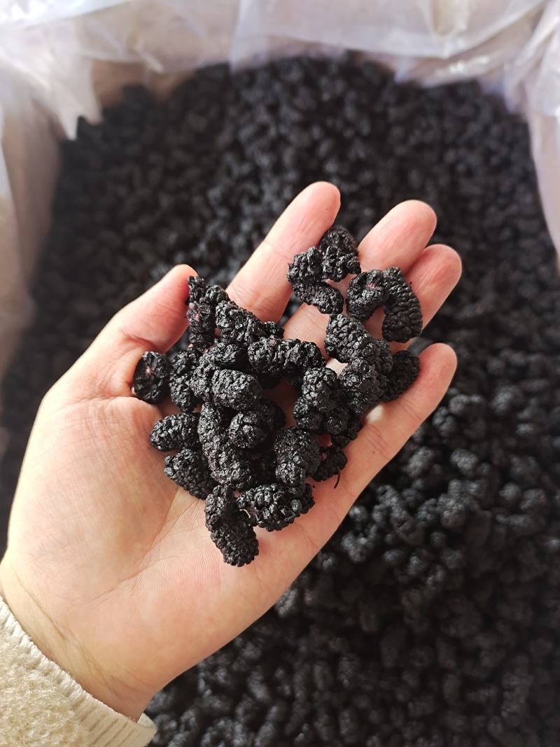 桑葚桑葚干黑桑葚无硫干净水洗规格齐全泡水泡酒