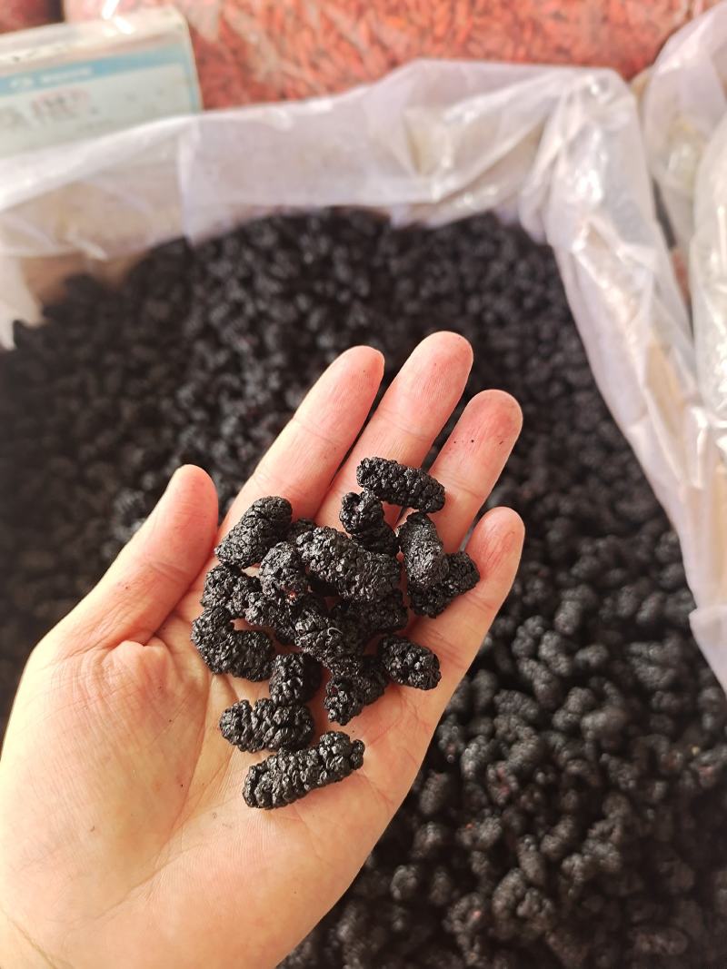 桑葚桑葚干黑桑葚无硫干净水洗规格齐全泡水泡酒