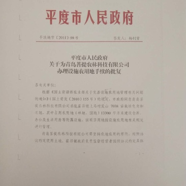 皂角刺