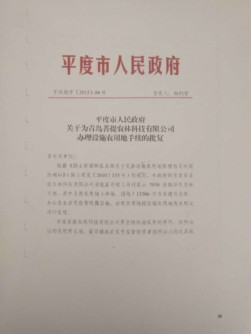皂角刺