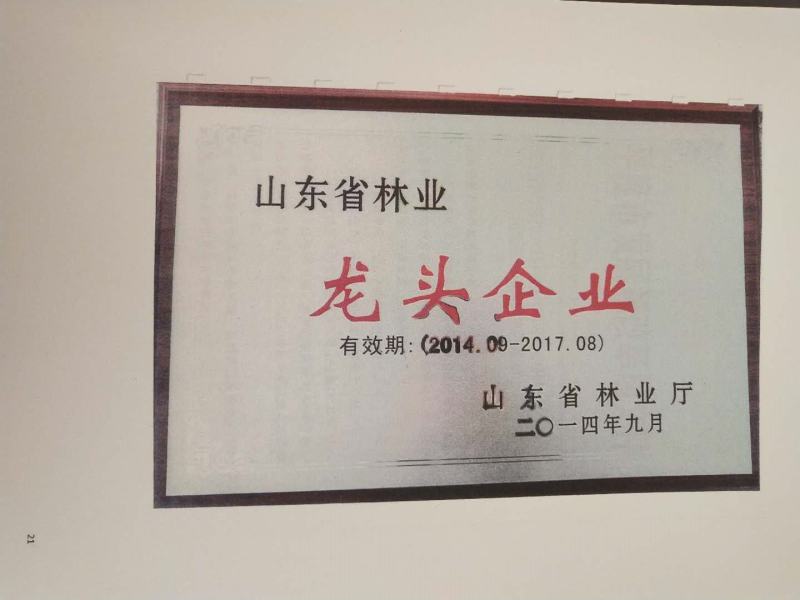 皂角刺