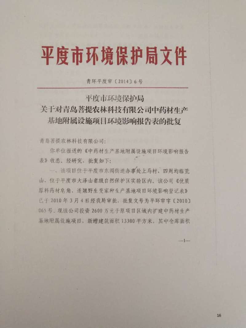 皂角刺