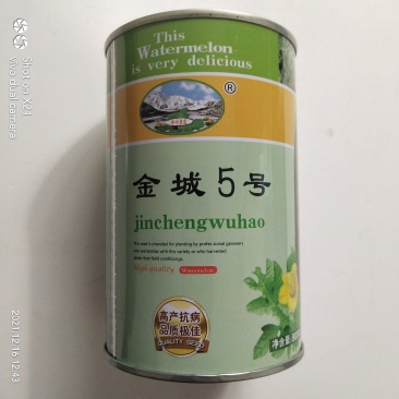 金城5号西瓜种子抗重茬五连冠露天种植品种，种子