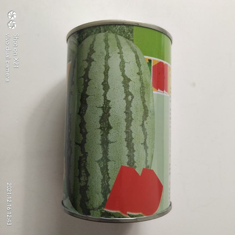 金城5号西瓜种子抗重茬五连冠露天种植品种，种子