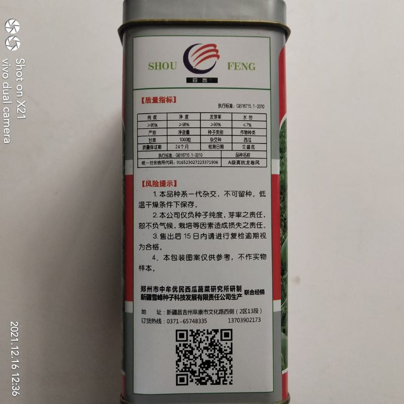 金城5号西瓜种子抗重茬五连冠露天种植品种，种子