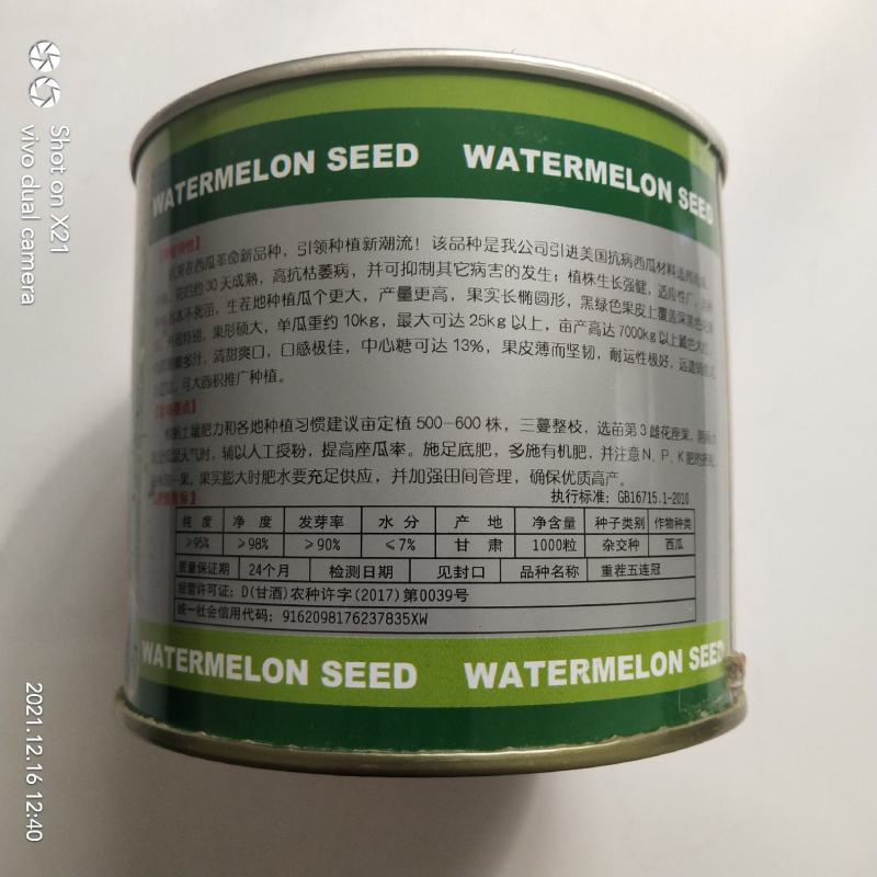 金城5号西瓜种子抗重茬五连冠露天种植品种，种子