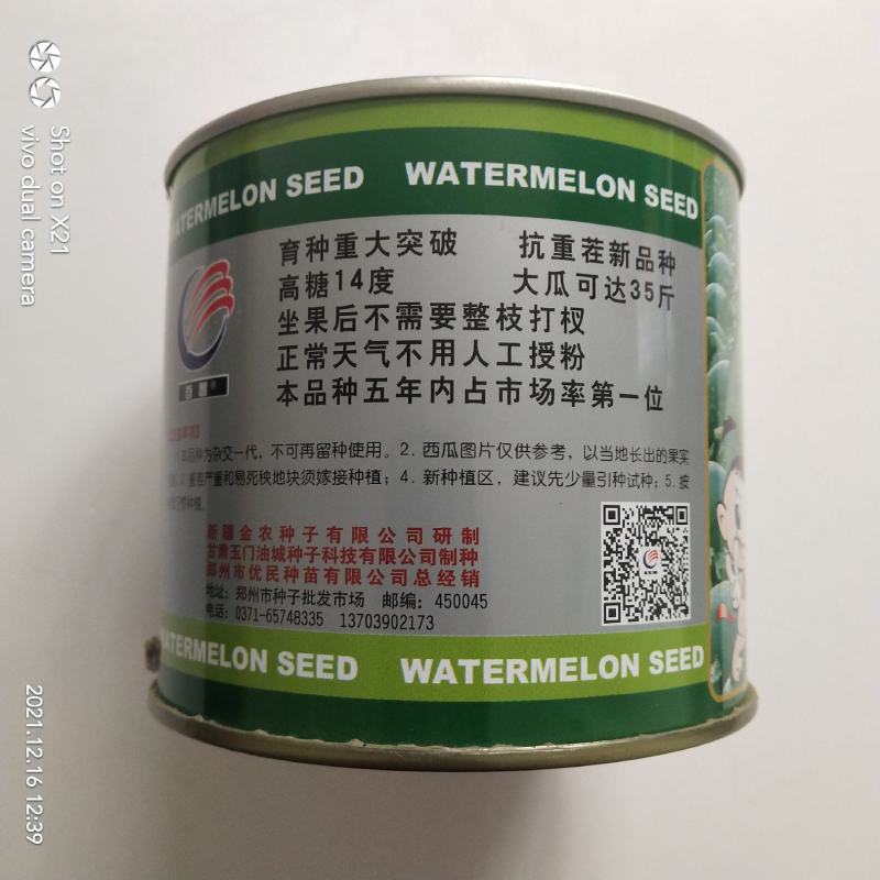 金城5号西瓜种子抗重茬五连冠露天种植品种，种子
