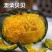 超甜糯板栗澳栗贝贝南瓜种子春秋四季播大小蔬菜籽南瓜种子