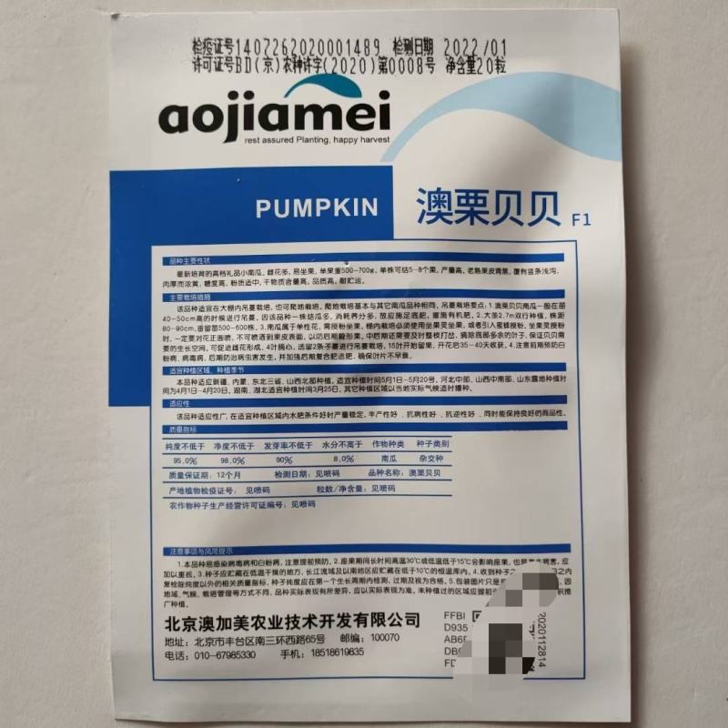 超甜糯板栗澳栗贝贝南瓜种子春秋四季播大小蔬菜籽南瓜种子