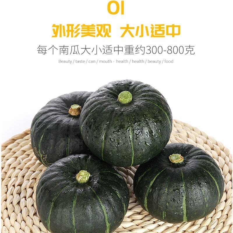 超甜糯板栗澳栗贝贝南瓜种子春秋四季播大小蔬菜籽南瓜种子