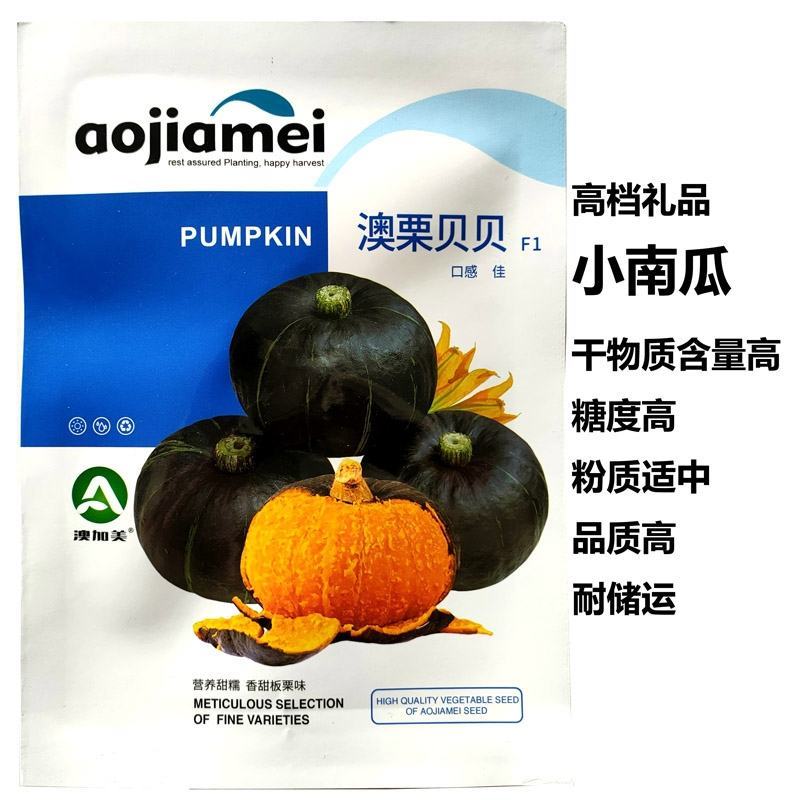 超甜糯板栗澳栗贝贝南瓜种子春秋四季播大小蔬菜籽南瓜种子