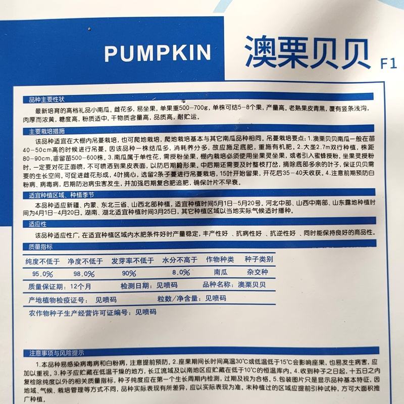 超甜糯板栗澳栗贝贝南瓜种子春秋四季播大小蔬菜籽南瓜种子