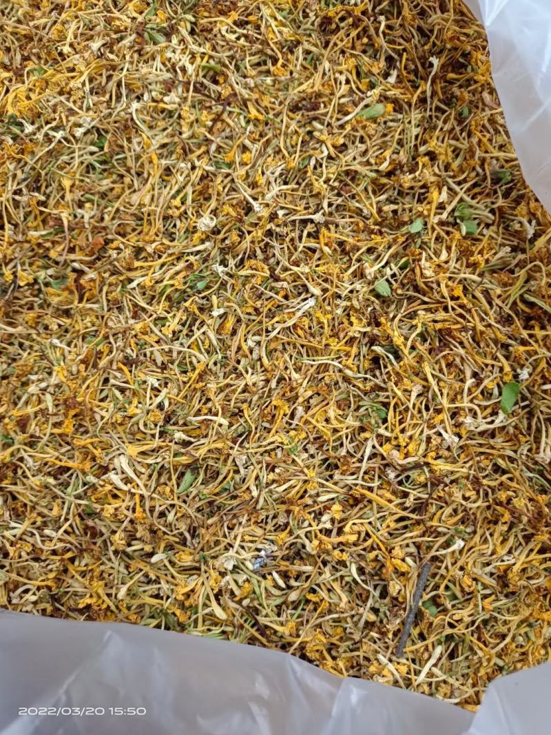 金银花/金银花鲜货/山银花/金银花干货/无硫金银花/