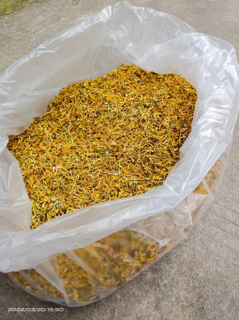 金银花/金银花鲜货/山银花/金银花干货/无硫金银花/