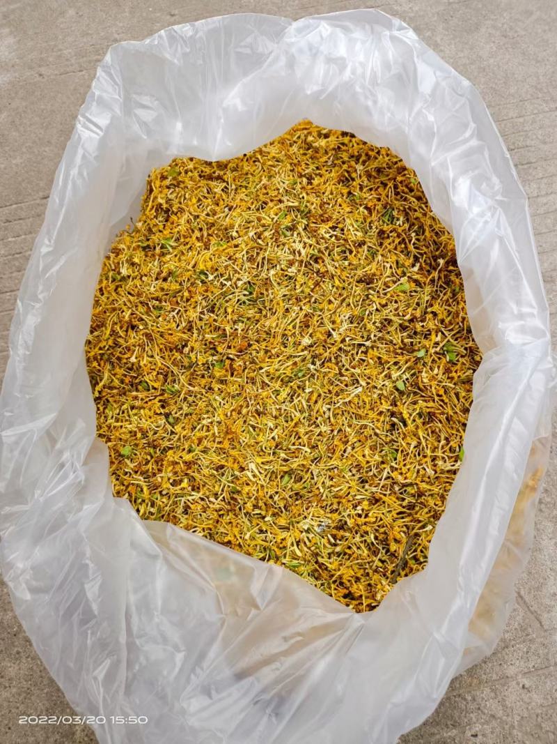 金银花/金银花鲜货/山银花/金银花干货/无硫金银花/