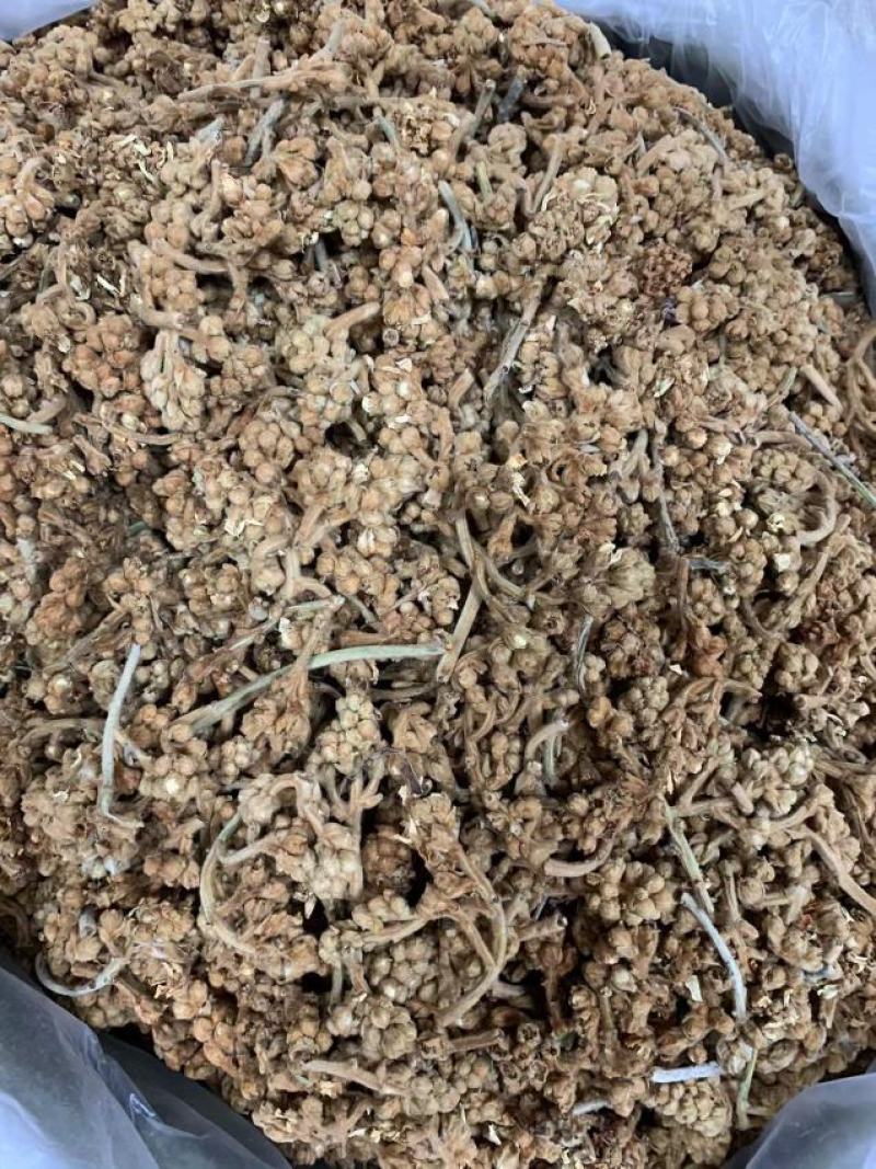 枇杷花枇杷花茶今年新晒枇杷花漂亮枇杷花