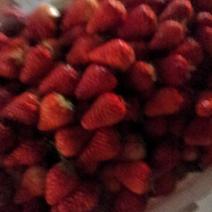 长丰县草莓
