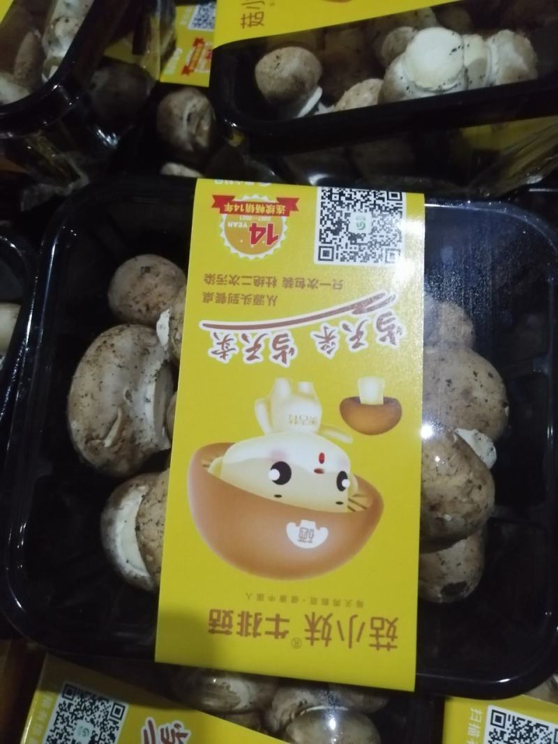 奥吉特牛排菇