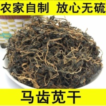 马齿苋干包邮新鲜菜野生马蜂菜马齿菜茶无硫包子馅马齿见马齿