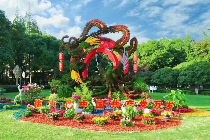 五色草，颜色多基地直销大量有货，质量好价格低