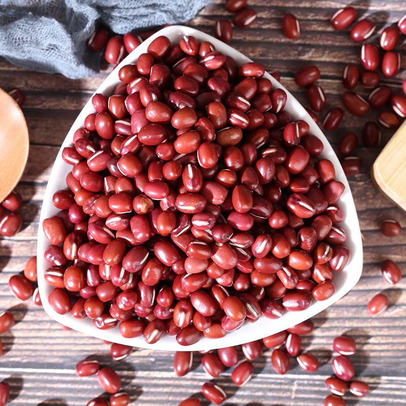 红豆现货供应东北大粒红小豆熬粥豆沙馅原料袋装50斤
