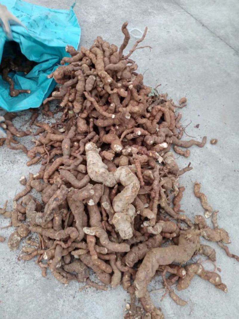 粉防己，粉质好，防己，烘干，白，下半年的货，大量供应