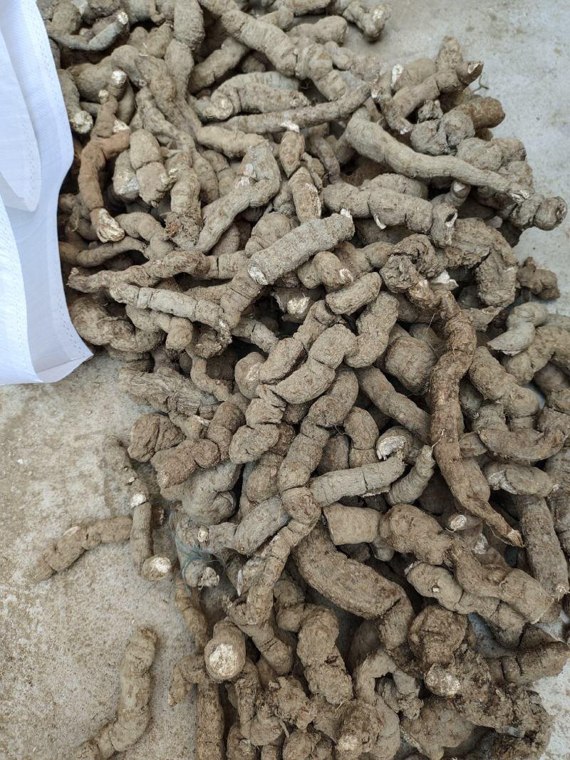 粉防己，粉质好，防己，烘干，白，下半年的货，大量供应