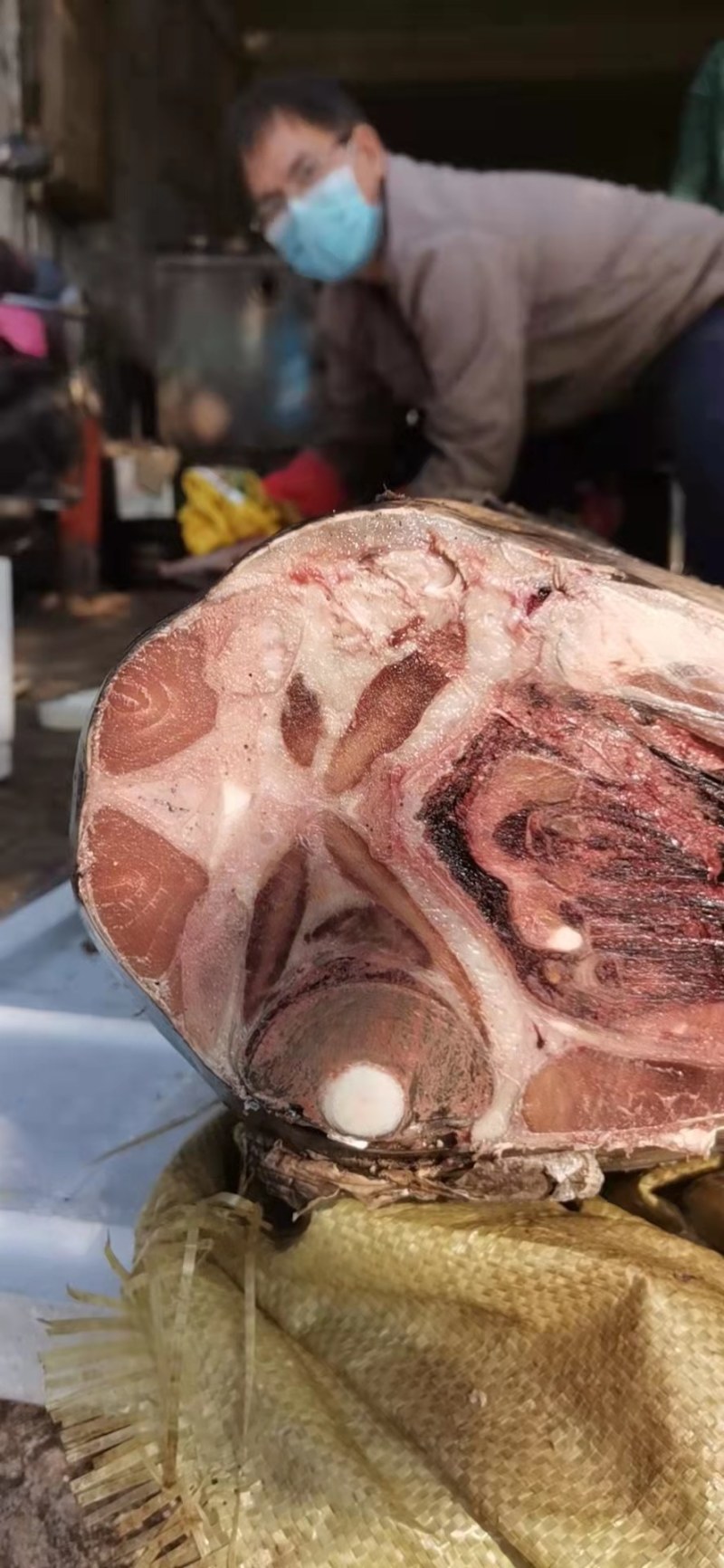 黄鳍金枪，刺身鱼