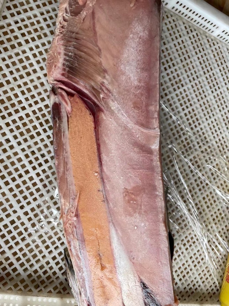 黄鳍金枪，刺身鱼