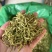 金银花新货金银花颜色好看实图拍摄产地直销欢迎选