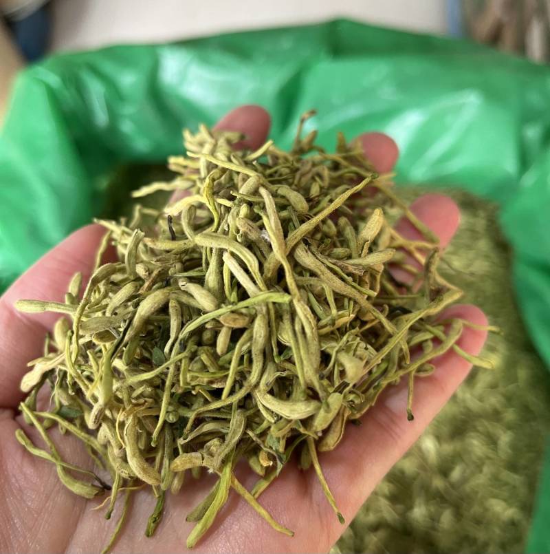 金银花新货金银花颜色好看实图拍摄产地直销欢迎选