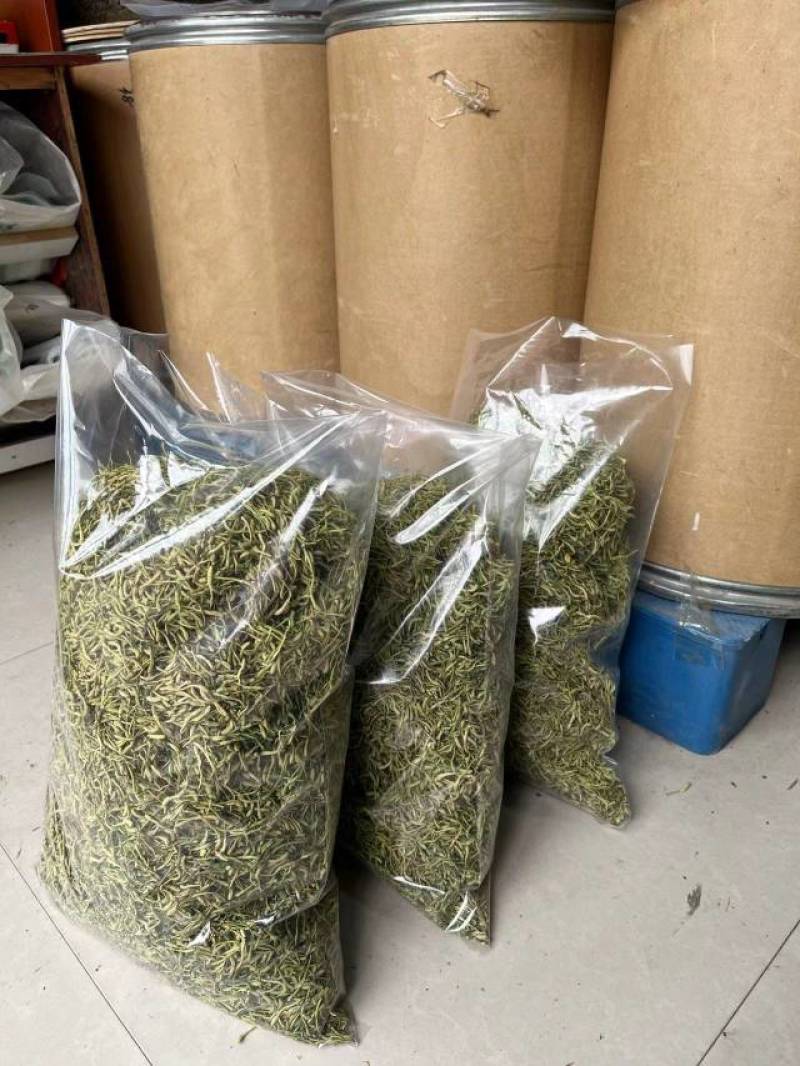 金银花新货金银花颜色好看实图拍摄产地直销欢迎选