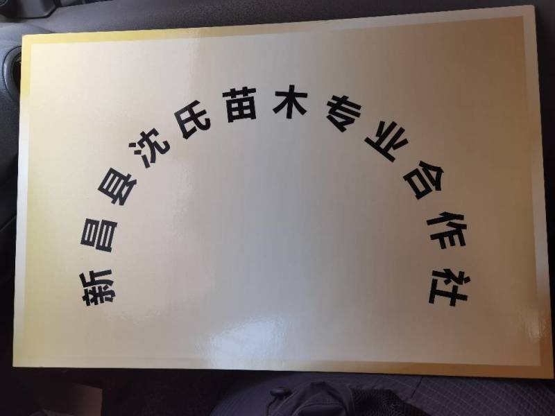 毛桃小苗毛桃芽苗根系发达浙江绍兴产地直发