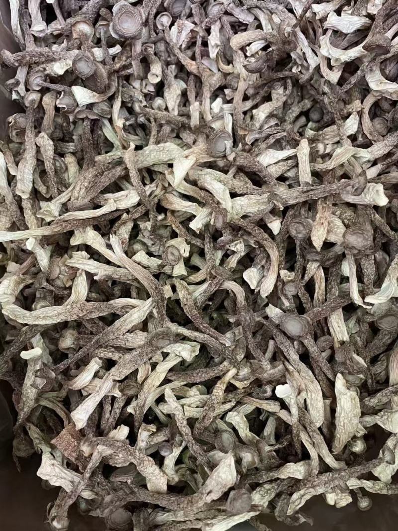 鹿茸菇干菌食用菌鹿茸菇全国发货量大从优
