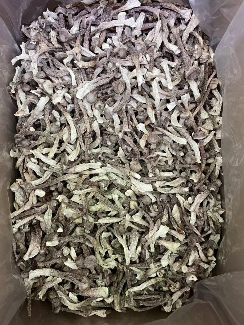 鹿茸菇干菌食用菌鹿茸菇全国发货量大从优